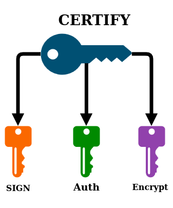 schéma des subkeys